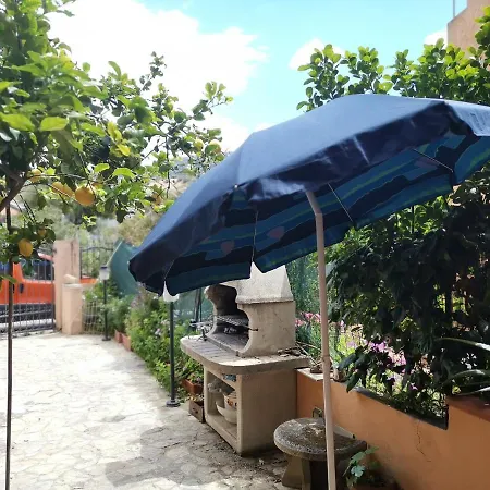 Cute And Sunny 솔라나스